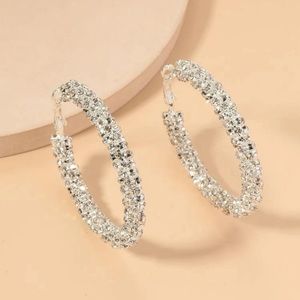 Silver Rhinestone Decor Hoop Earrings